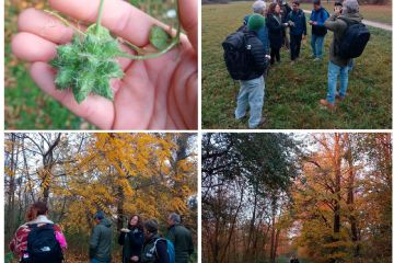 Formazione sulle specie aliene invasive: conclusi i due incontri del progetto Life NatConnect2030