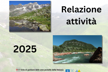 Relazione attività svolta dall'Ente nel 2025