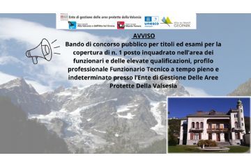 Avviso bando di concorso pubblico