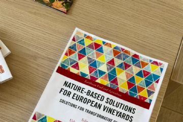 Convegno “Soluzioni nature-based per una gestione sostenibile dei vigneti”