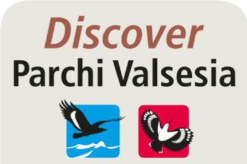 Scarica l'App Parchi Valsesia