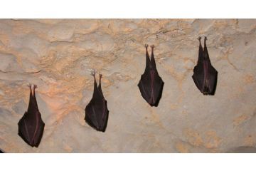Chiusura Grotte del Monte Fenera dal 1&#176; novembre al 31 marzo