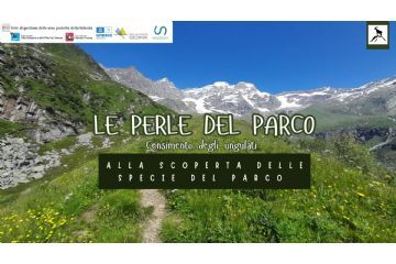 Arrivano &quot;Le Perle del Parco&quot; sui social media dell&#39;Ente