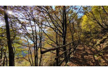 FESR Idro-Geo-Parchi: finanziato il progetto di ripristino dei sentieri tra Campello Monti, Rimella e Vallone di Roj