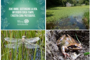 Giornata Mondiale delle Zone Umide
