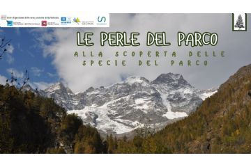 Tornano Le Perle del Parco