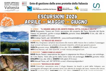 Escursioni aprile - maggio - giugno